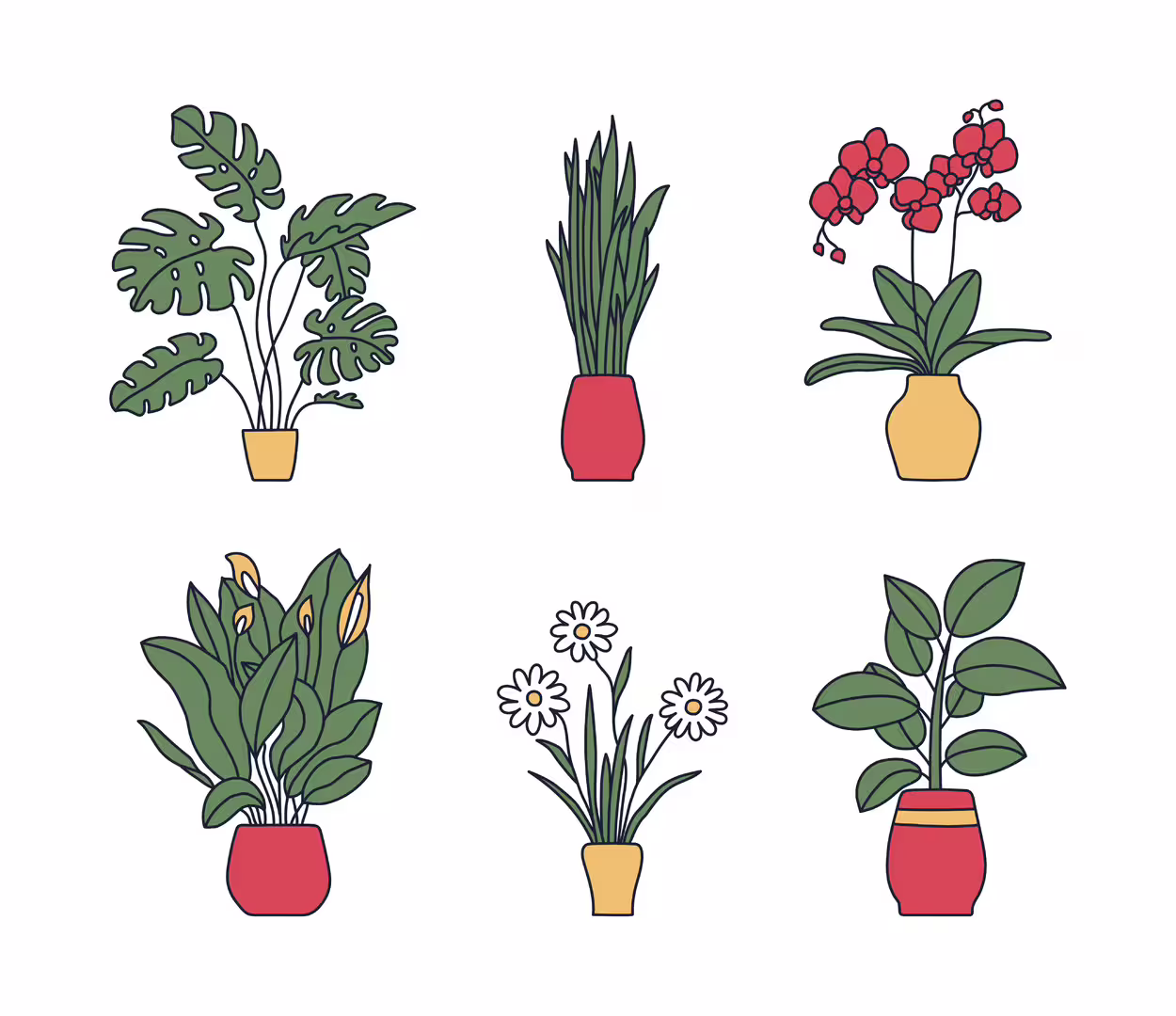 houseplants bundle.jpg