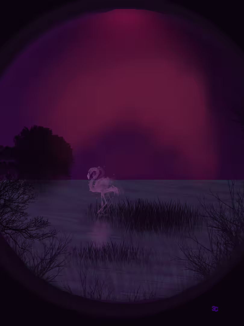 фламинго (2)жив и гр.png