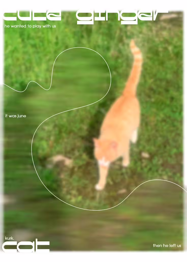 74be2ad580d6b0b3b59c05a0ee7d667a.jpg