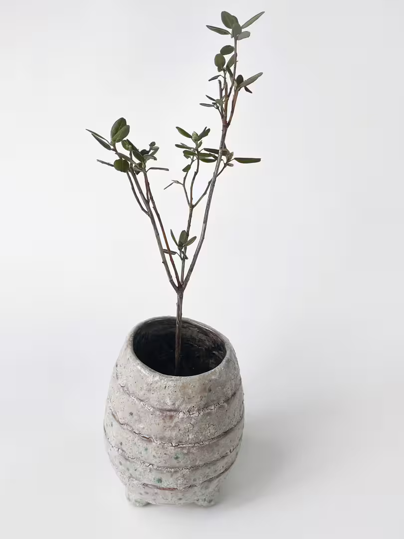 ceramic-9209.jpg