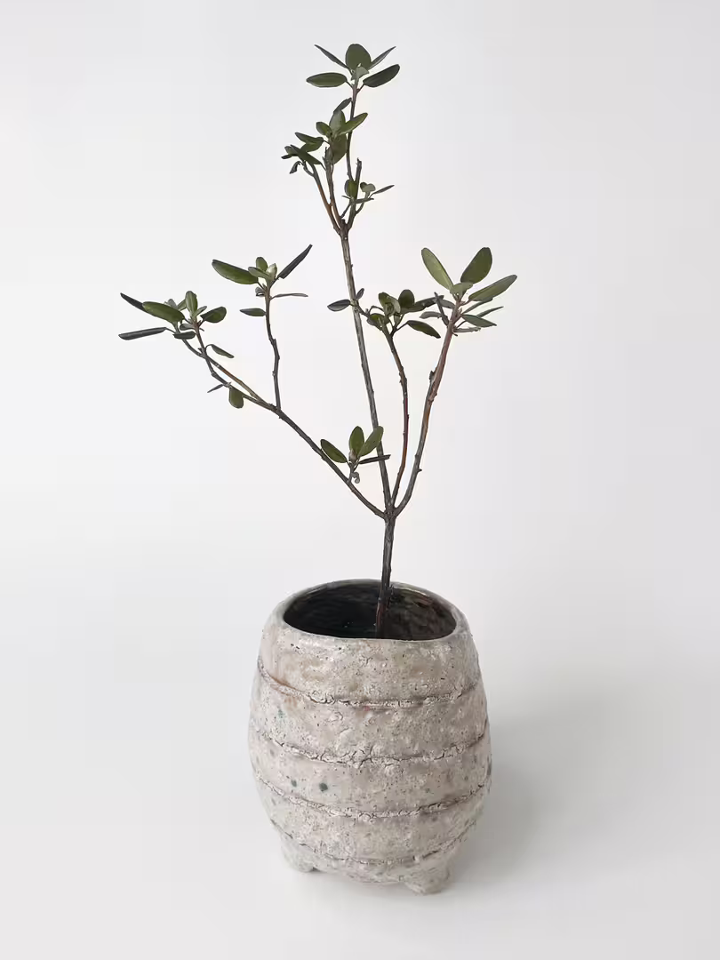 ceramic-9206.jpg