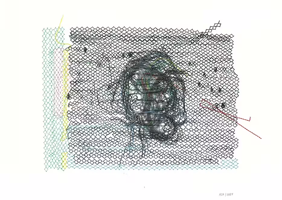 vdvdvd.png