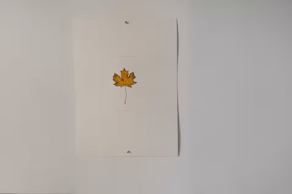 116875_02a5bdd1e833401f9dfd52273ca7d080~mv2.png