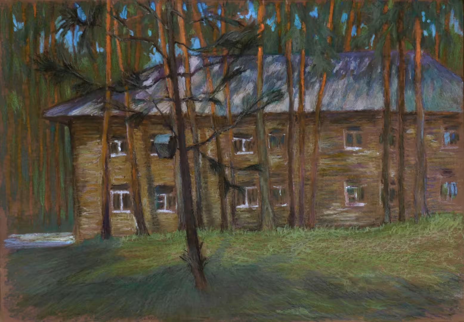 Халыг Салаев - Весна. Сосны. бумага масляная пастель 42х29 2023.jpg