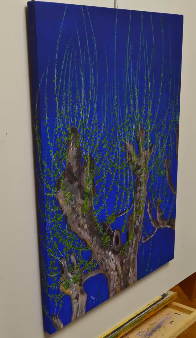 DSC_0001.JPG