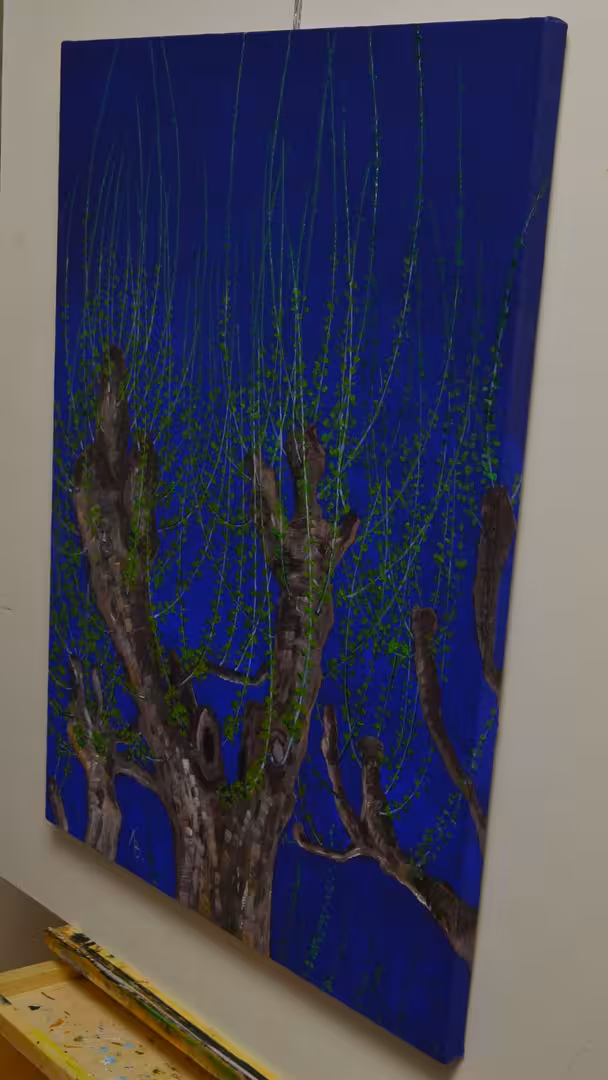 DSC_0002.JPG
