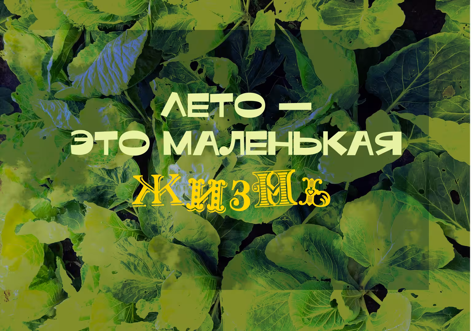 Обложка. Разворот.jpg