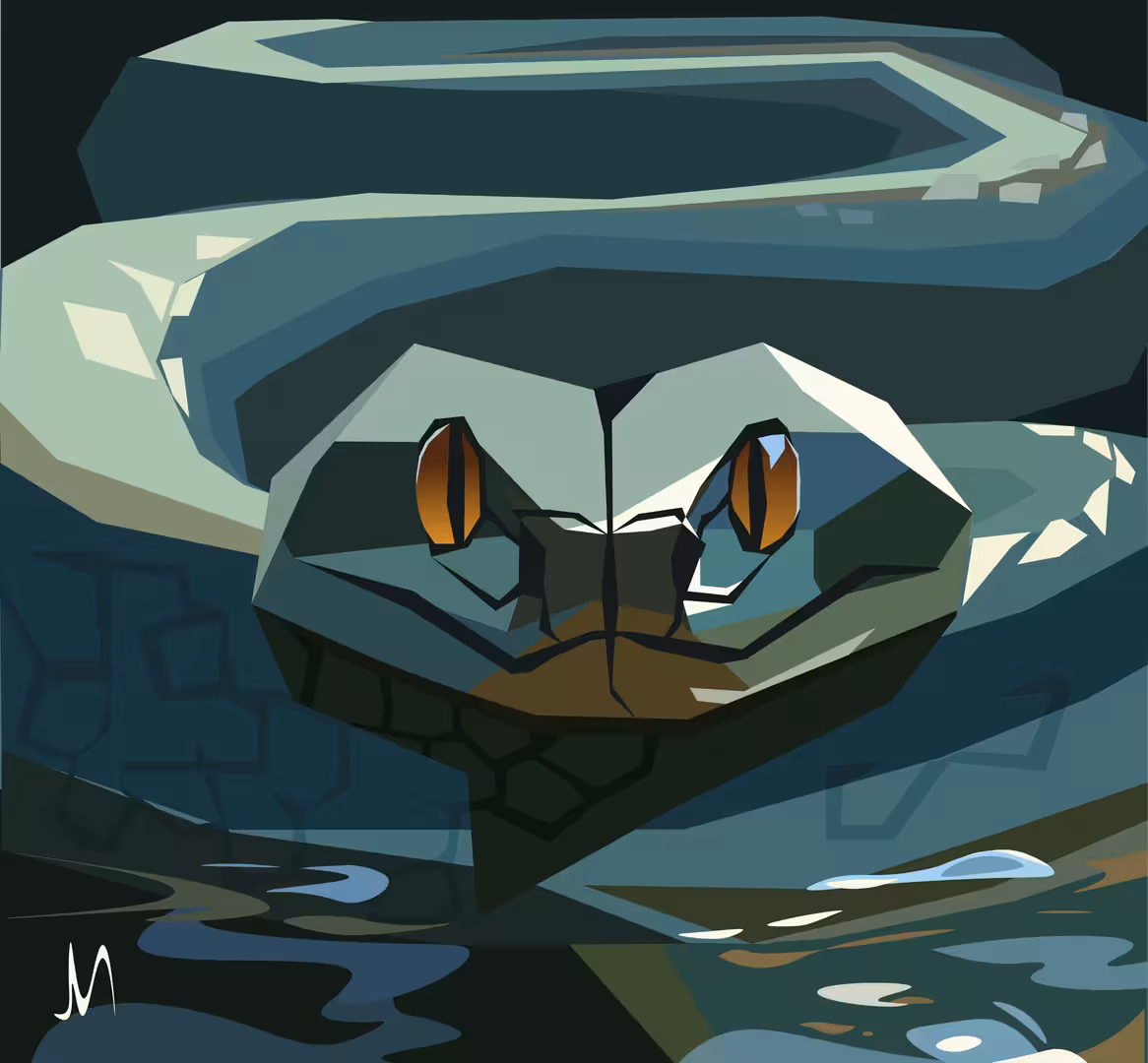 sn-no-w.png