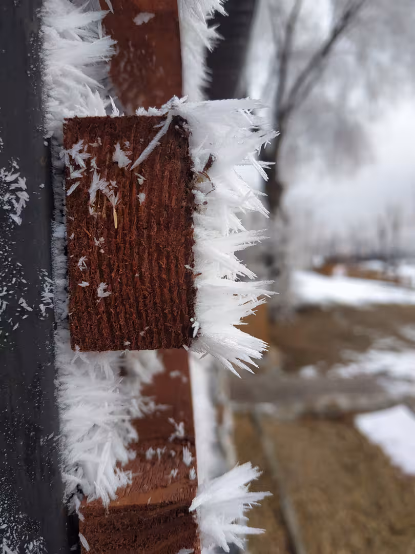 snow.jpg