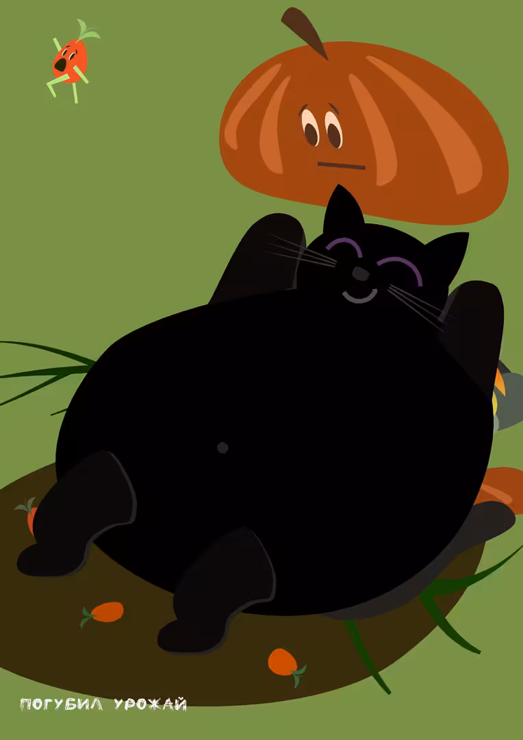 15.png
