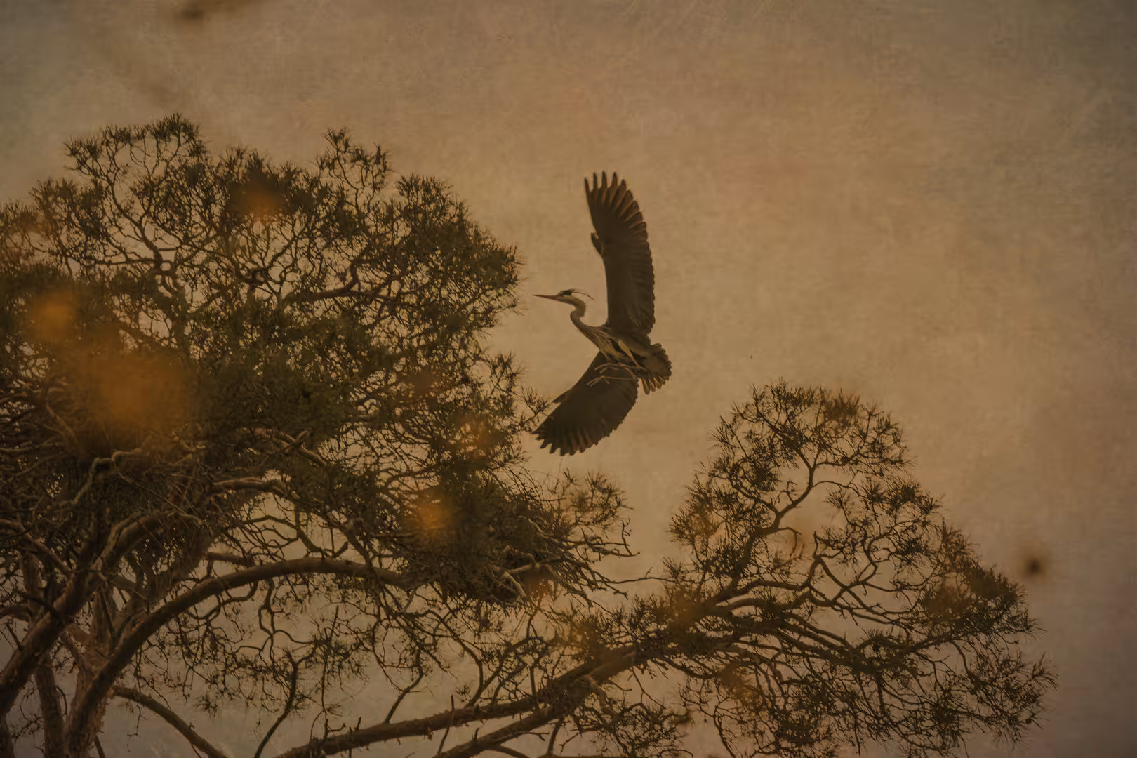 IMG_1196-2 копия.jpg