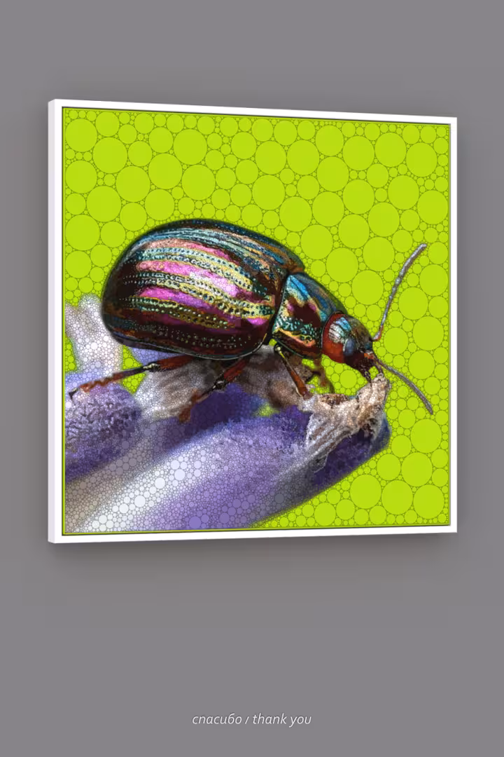 Beetle_001_edited_poster.png