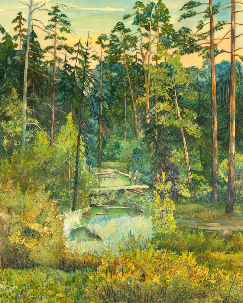 forest.jpg