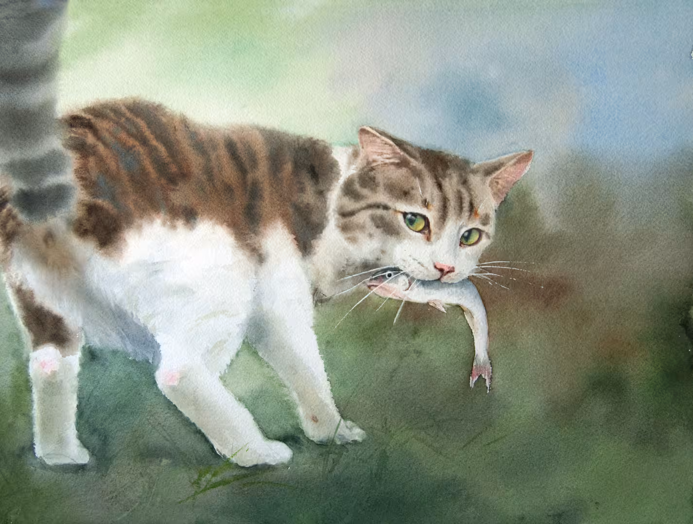 fisher cat watercolor by olga beliaeva.JPG
