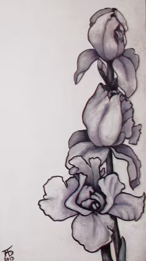iris.jpg