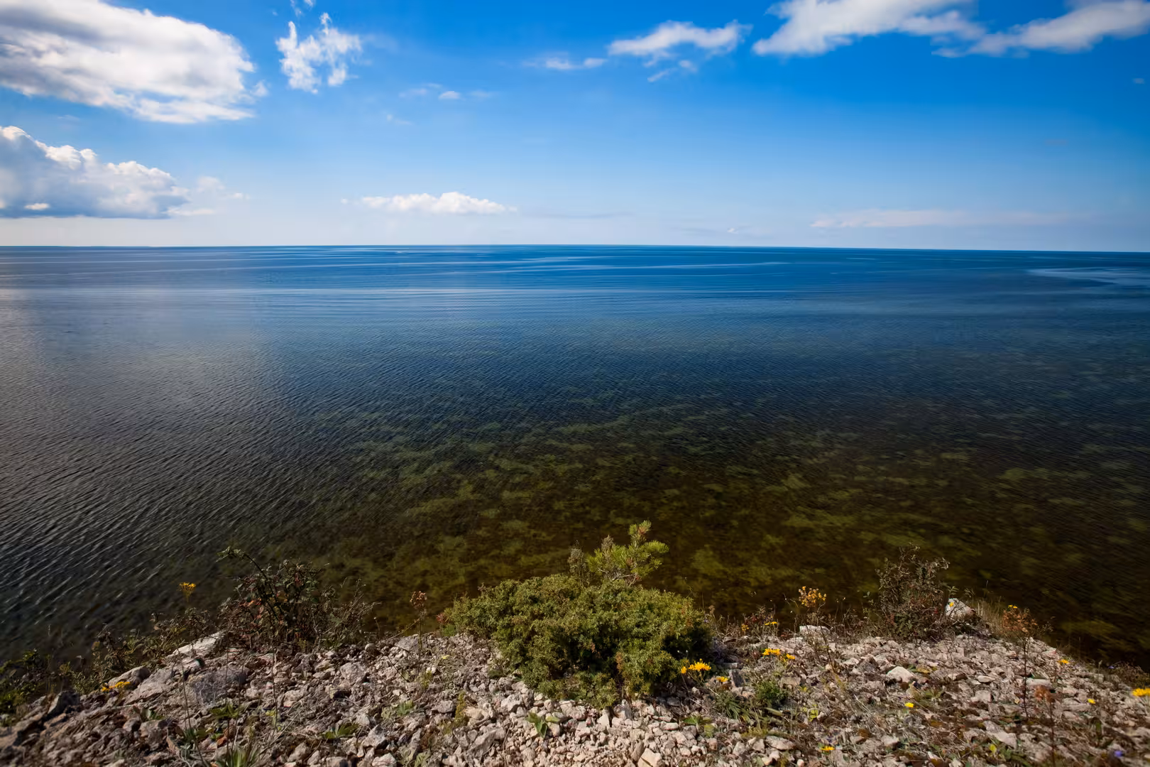 Eesti 1170_resize.jpg