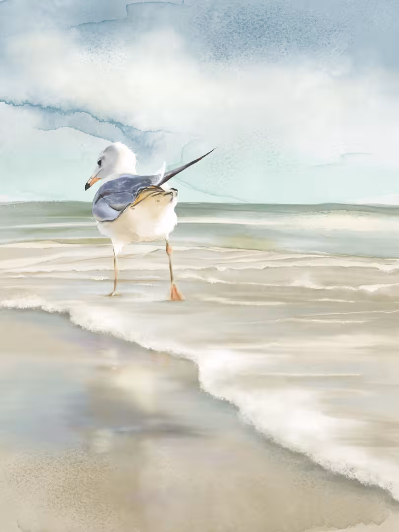 Seagull.jpg