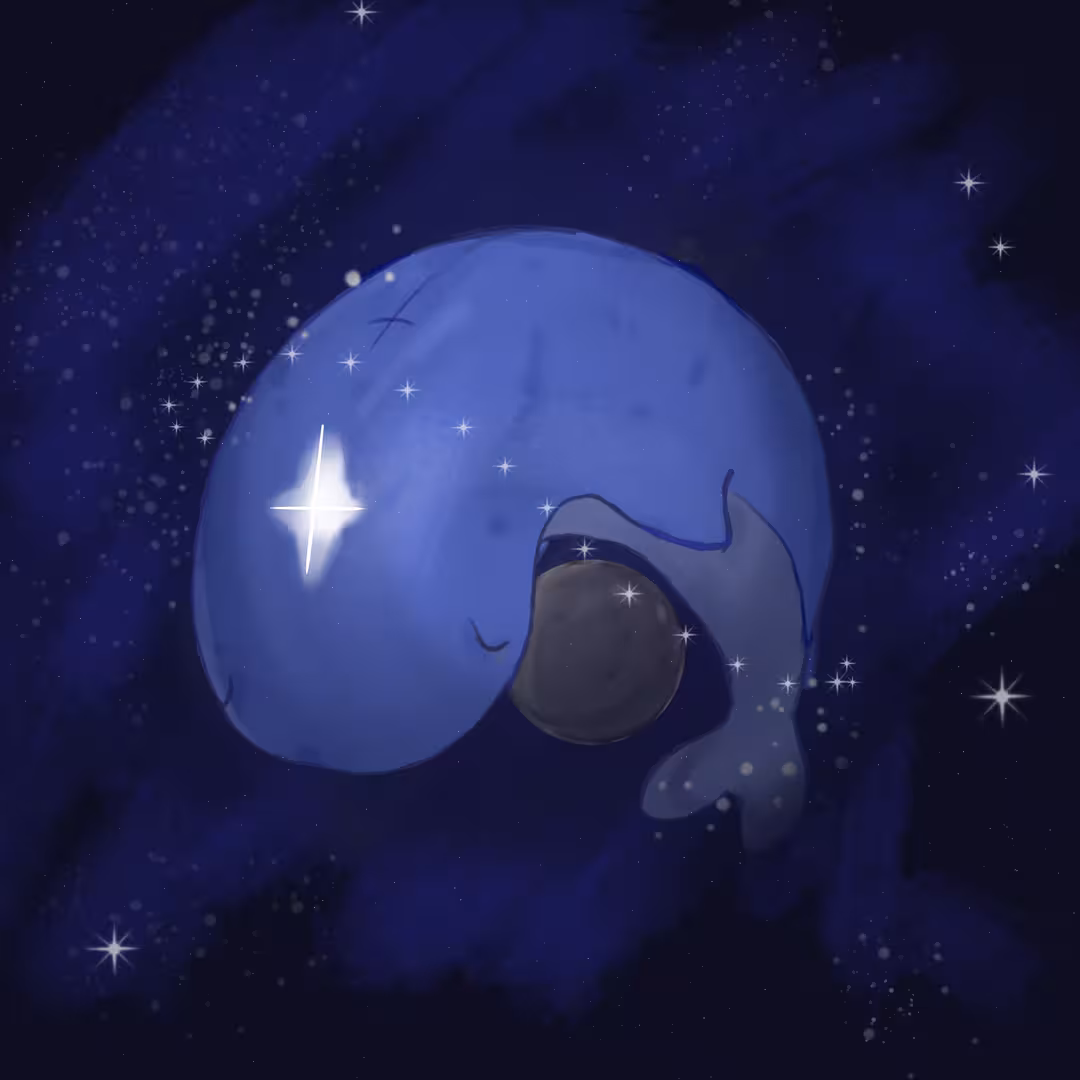 кит.png