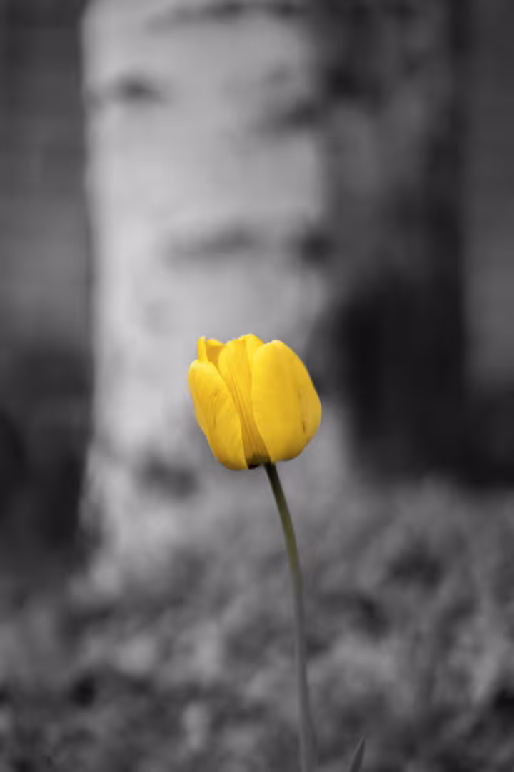 11112.jpg