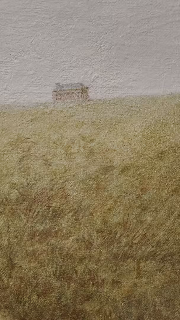 1000081710.jpg