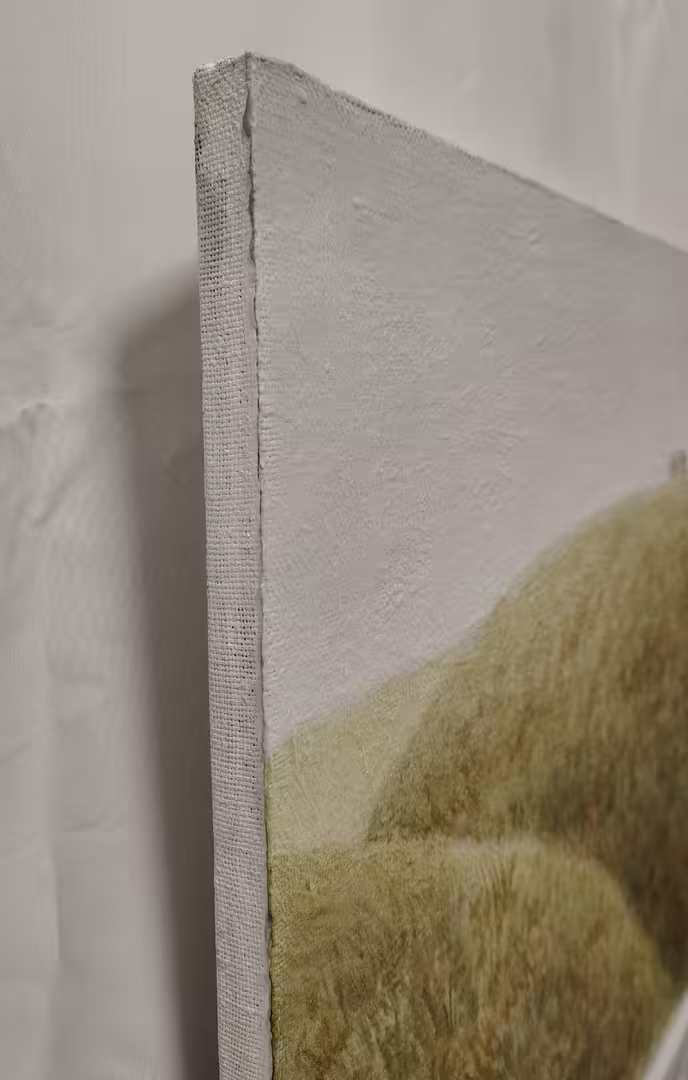 1000105831.jpg