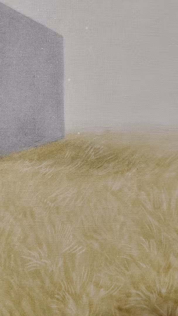 1000104180.jpg