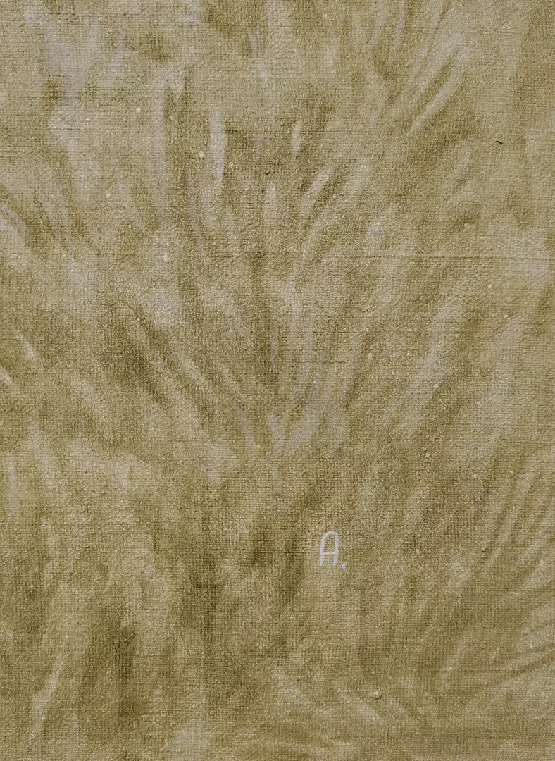 1000104205.jpg