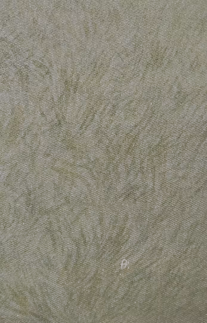 1000104207.jpg