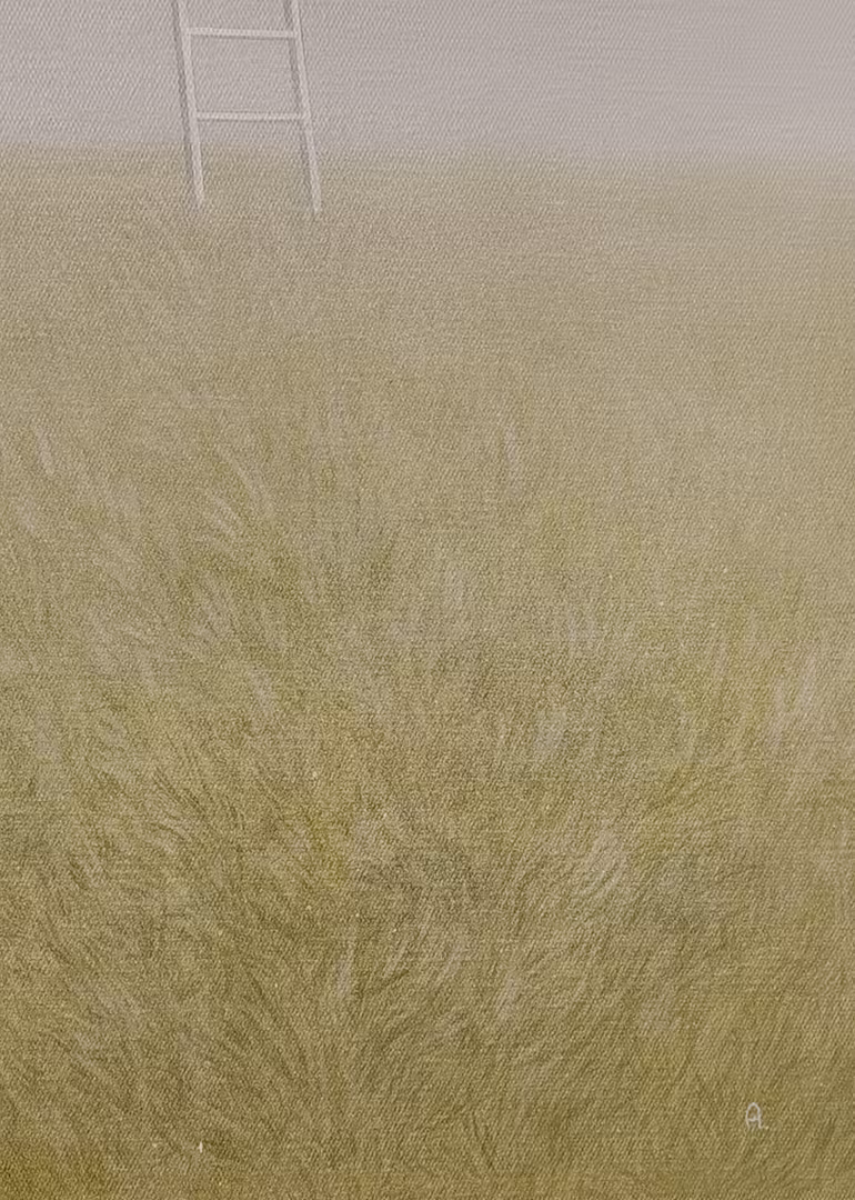 1000116014.jpg