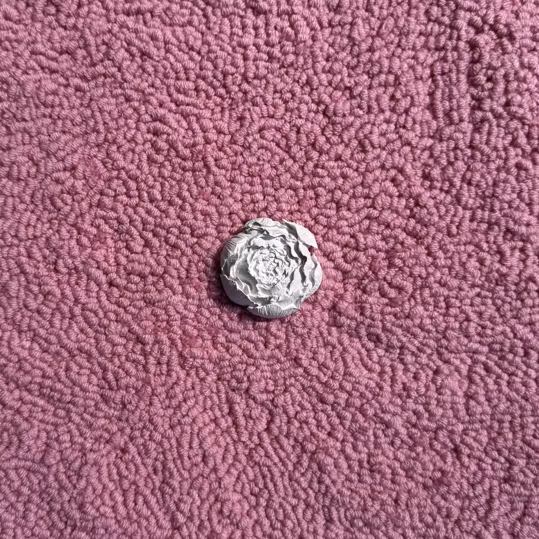 IMG_6821.jpeg
