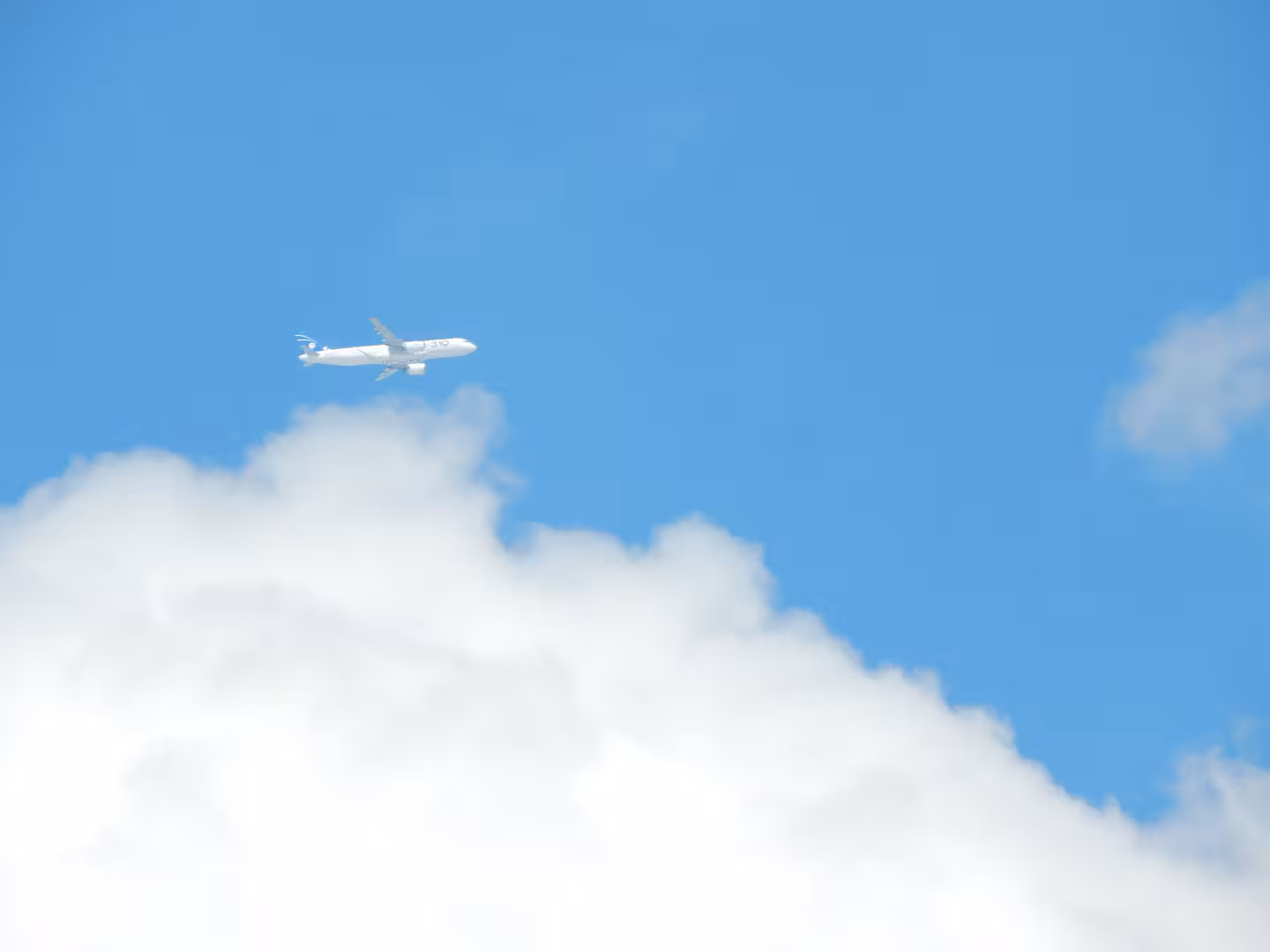 DSCN5185.JPG