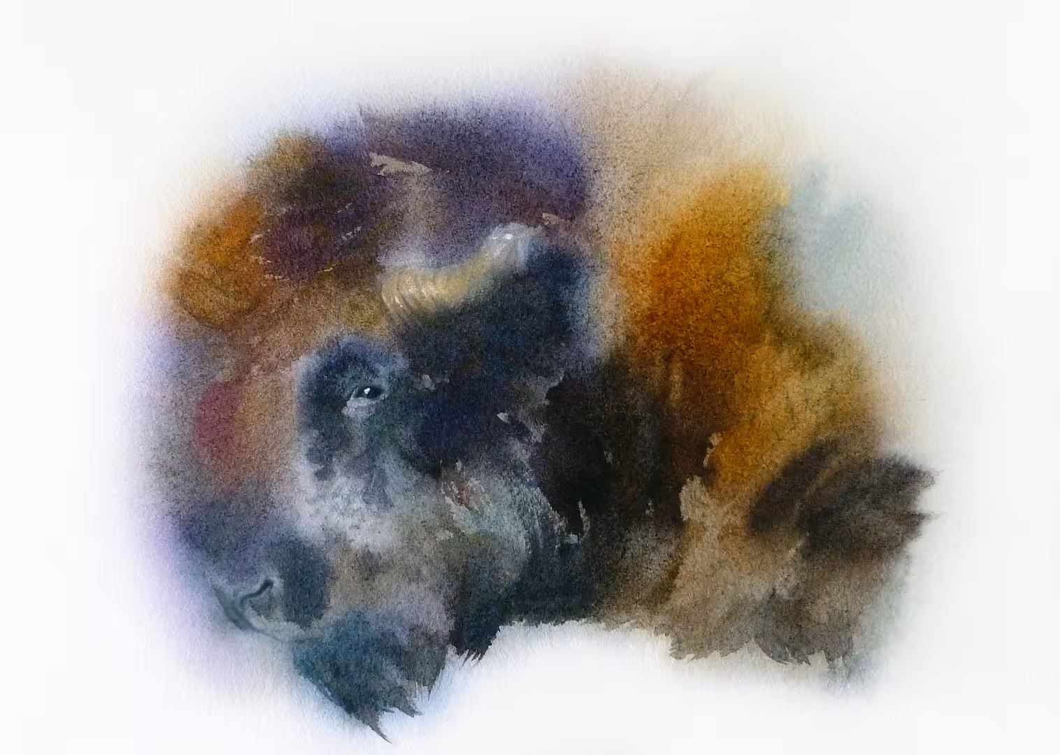 Бизон акварелью_художник Татьяна Середа_Watercolor bizon_artist Tatiana Sereda_art.jpg