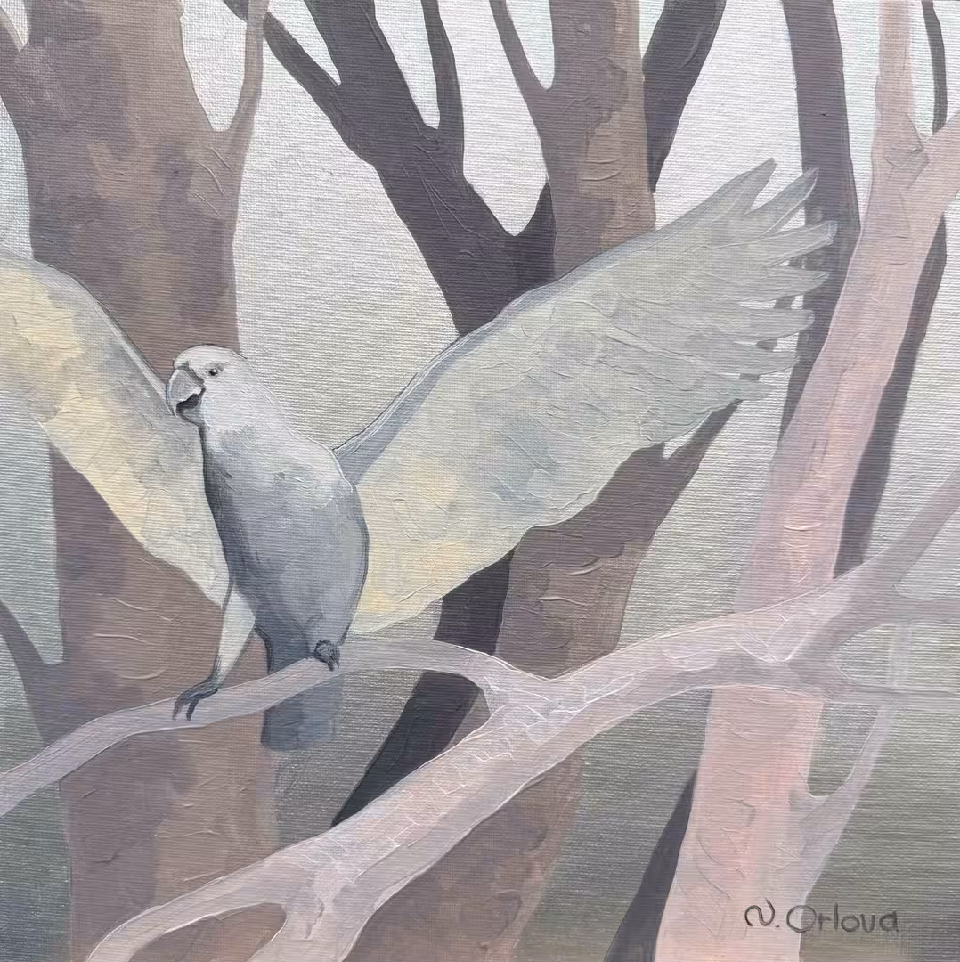 2562.N.OR.WhiteParrot3.oc.30-30.05-26.s1.JPG