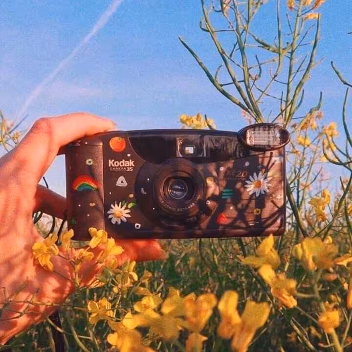 Свет, кадр, эмоция: как фотография говорит о прекрасном наравне с рисунком и живописью
