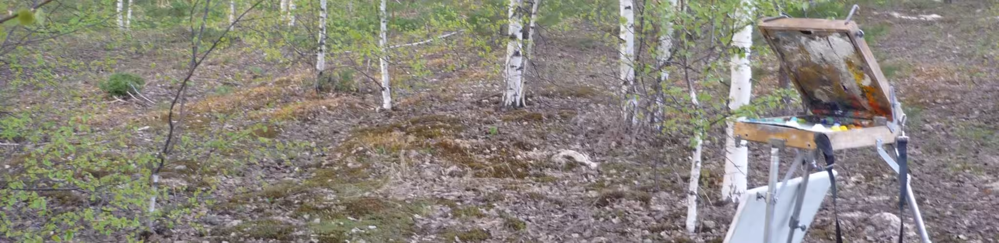Обложка профиля